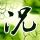 原版新泻国际情报大学文凭【degxx.com】